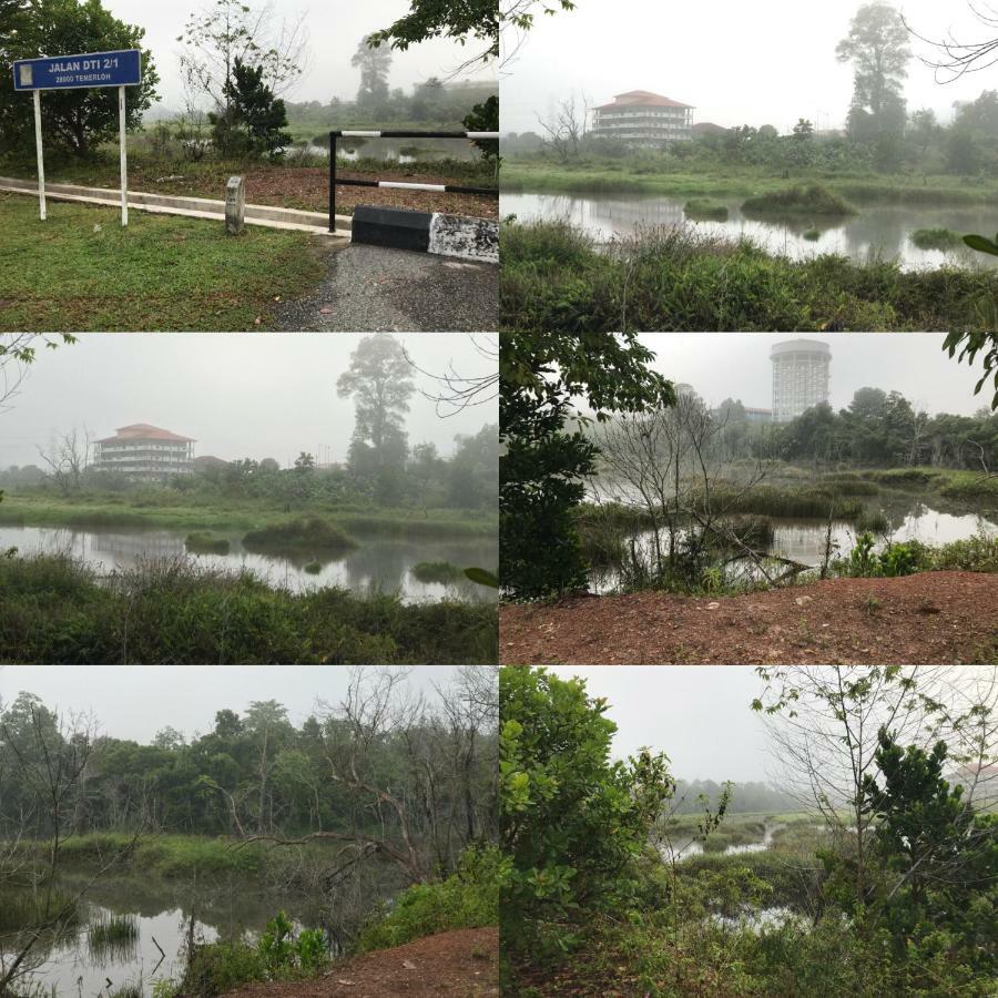 Patin Guest House @Desa Telok Ira, Temerloh Pahang Kampong Paya Kerinau Eksteriør bilde
